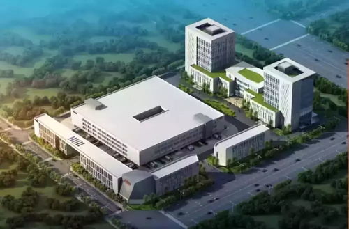 中小徑竹廂板生產(chǎn)線可行性研究報告通過