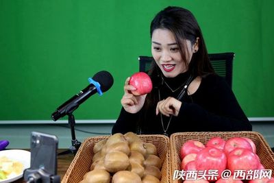 專業(yè)合作社引領(lǐng)，果農(nóng)增收致富路——扶風(fēng)獼猴桃實(shí)現(xiàn)全年供應(yīng)與銷售新突破